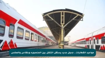 مواعيد القطارات.. جدول جديد يسهّل التنقل بين المنصورة وبلقاس والعكس